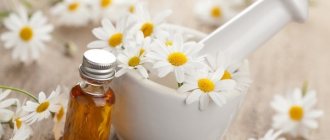 Chamomile flowers and oil