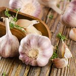 Treatment with garlic