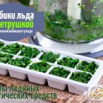 Parsley ice for face
