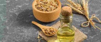 Wheat oil for hair: benefits and applications | Clean line 