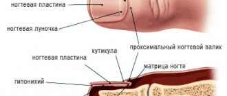 Nail mycosis: pathology and treatment