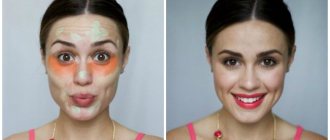 Removing dark circles under the eyes with corrector: types and rating of the best products